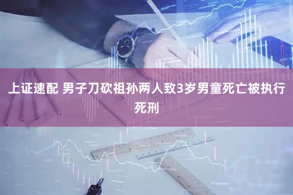 上证速配 男子刀砍祖孙两人致3岁男童死亡被执行死刑